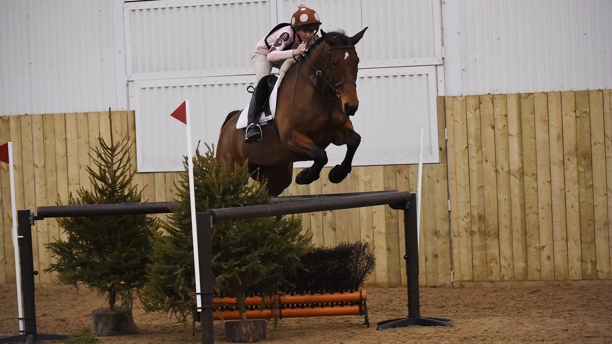 Southerly Roberts riding Tinx at the final of one of British Eventing’s previous arena eventing series, JAS (Jumping and Style), at Hartpury College.