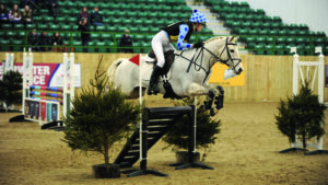 Arena eventing training at home will set up success in the ring.