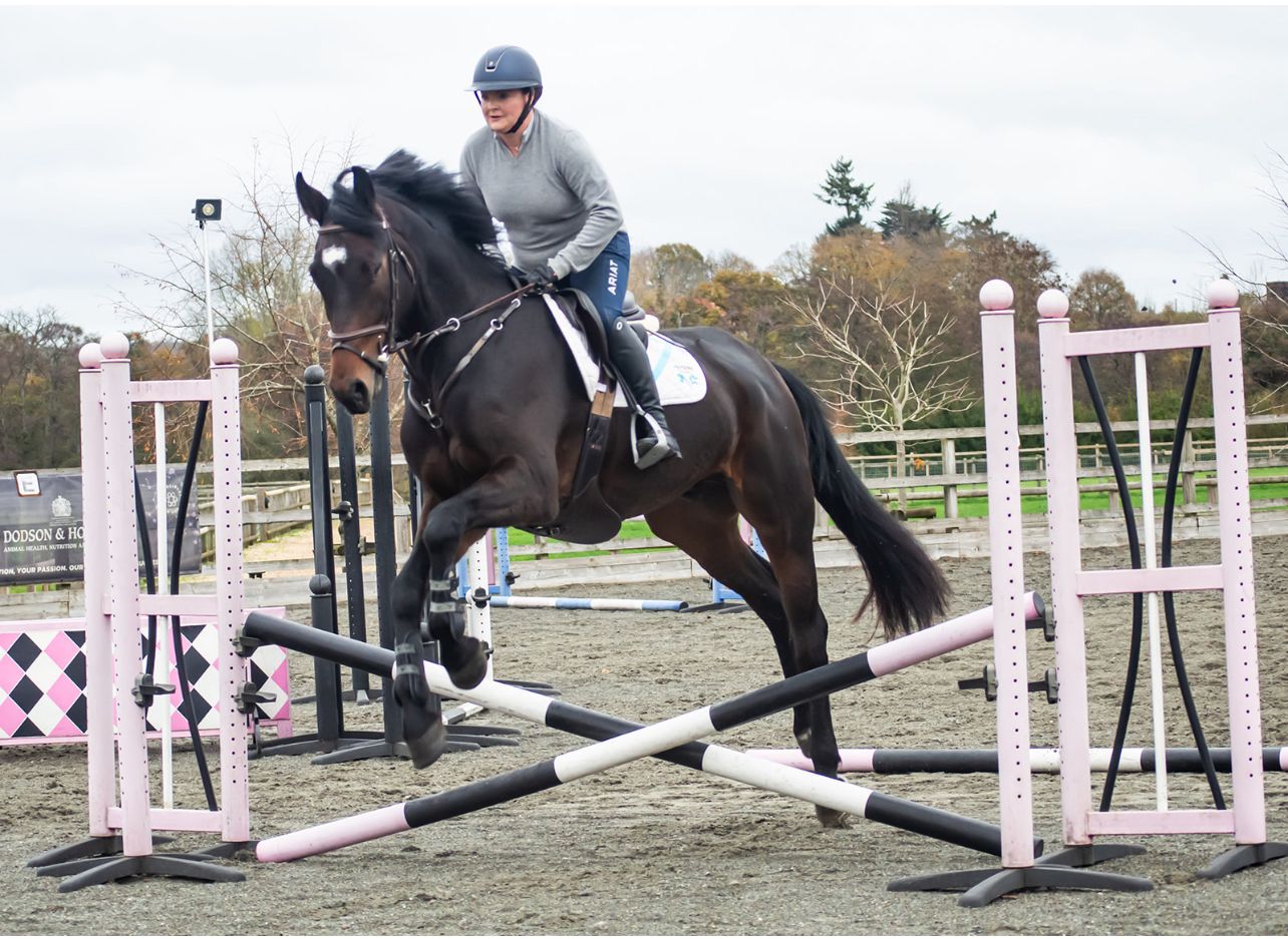 Jess Hayes explains how to train a partially sighted horse having produced the one-eyed showjumper Humoso.