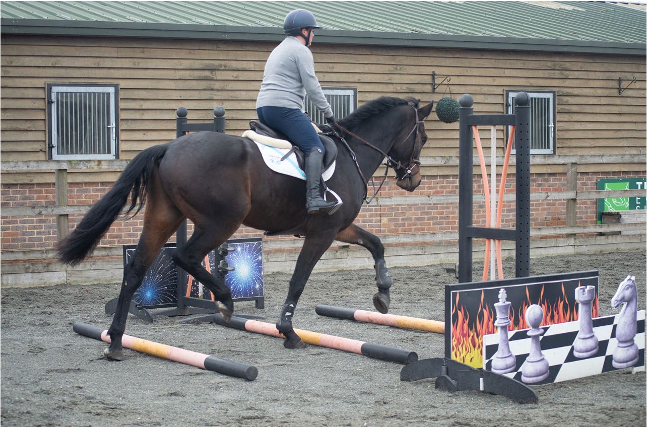 Jess Hayes and the one-eyed Humoso going through their paces over poles, part of his routine to help manage the horses's restricted vision.
