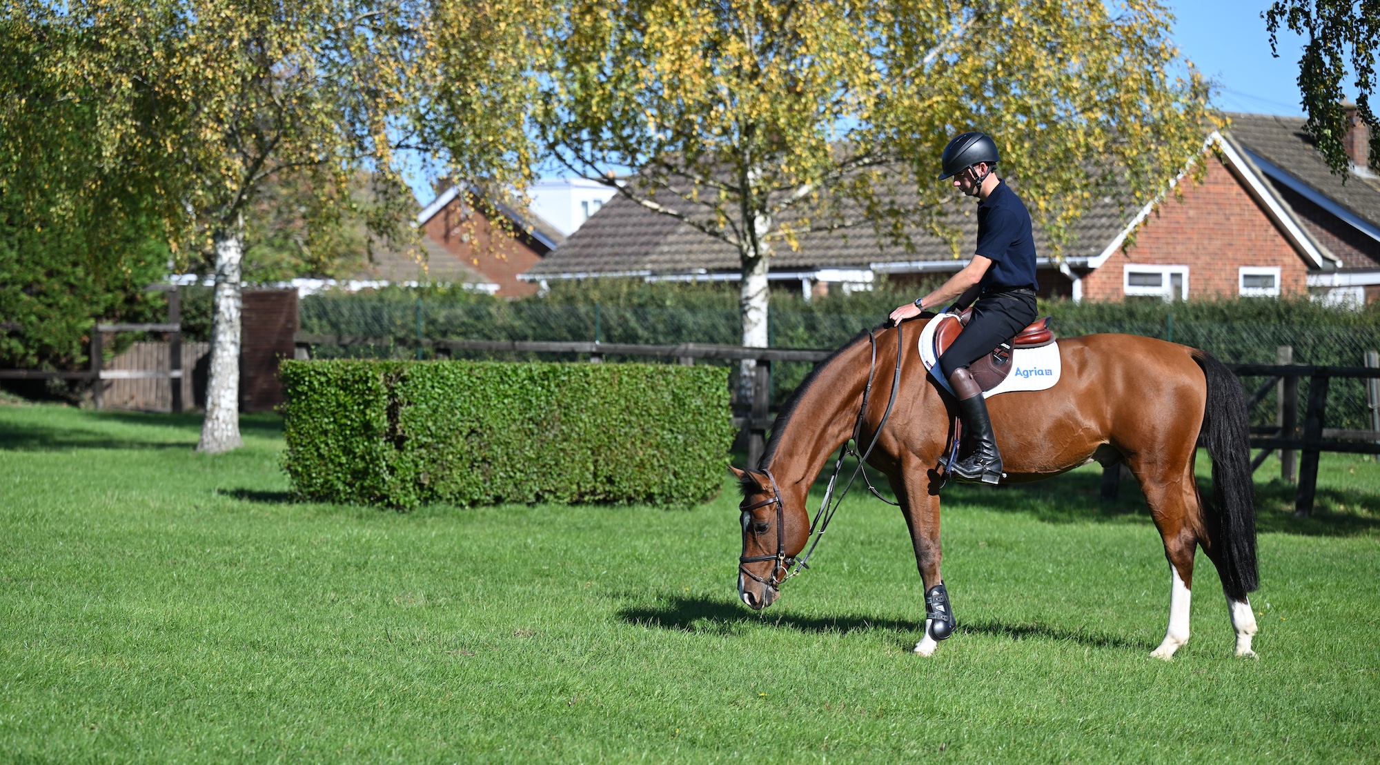 Joe Stockdale after training at home, horse has a graze