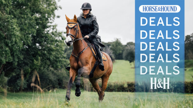 LeMieux All Elements coat with overlay