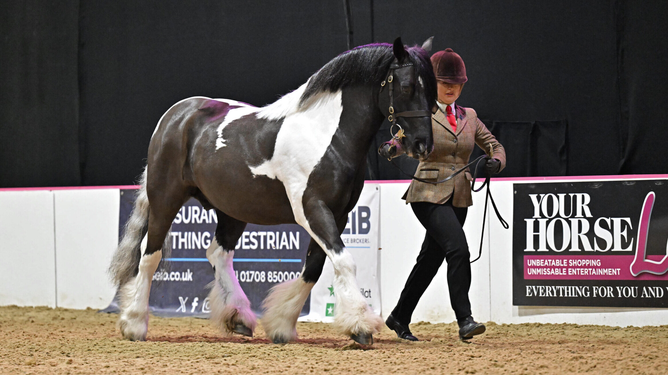 Chelcea Brough and Luneside Mario