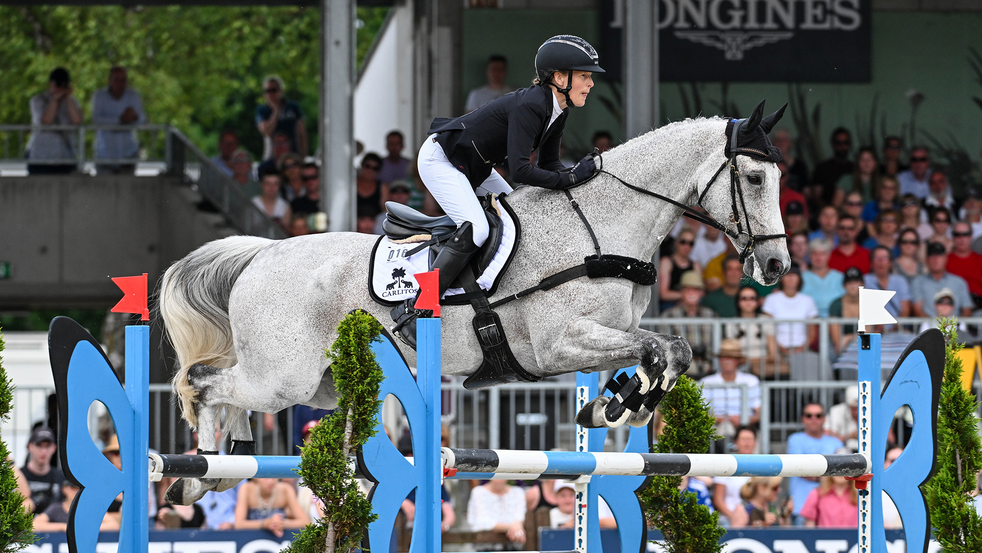 Malin Hansen Hotopp riding Carlitos Quidditch K in the showjumping at Luhmuhlen Horse Trials in 2025