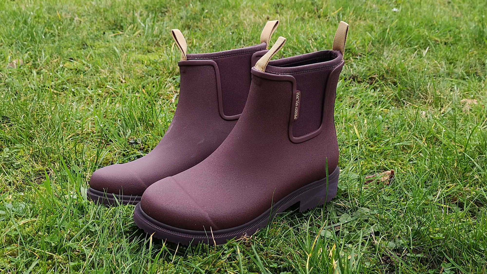 Merry People Bobbi Ankle boots