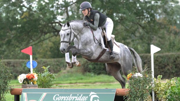 Monbeg Monaco, who topped the 2025 Goresbridge Go For Gold sale.