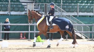 Erin Orford, pictured aboard LJT Nutbush at the 2025 LeMieux National Dressage Championships. Erin is also enjoying a successful first year of competitive swimming.