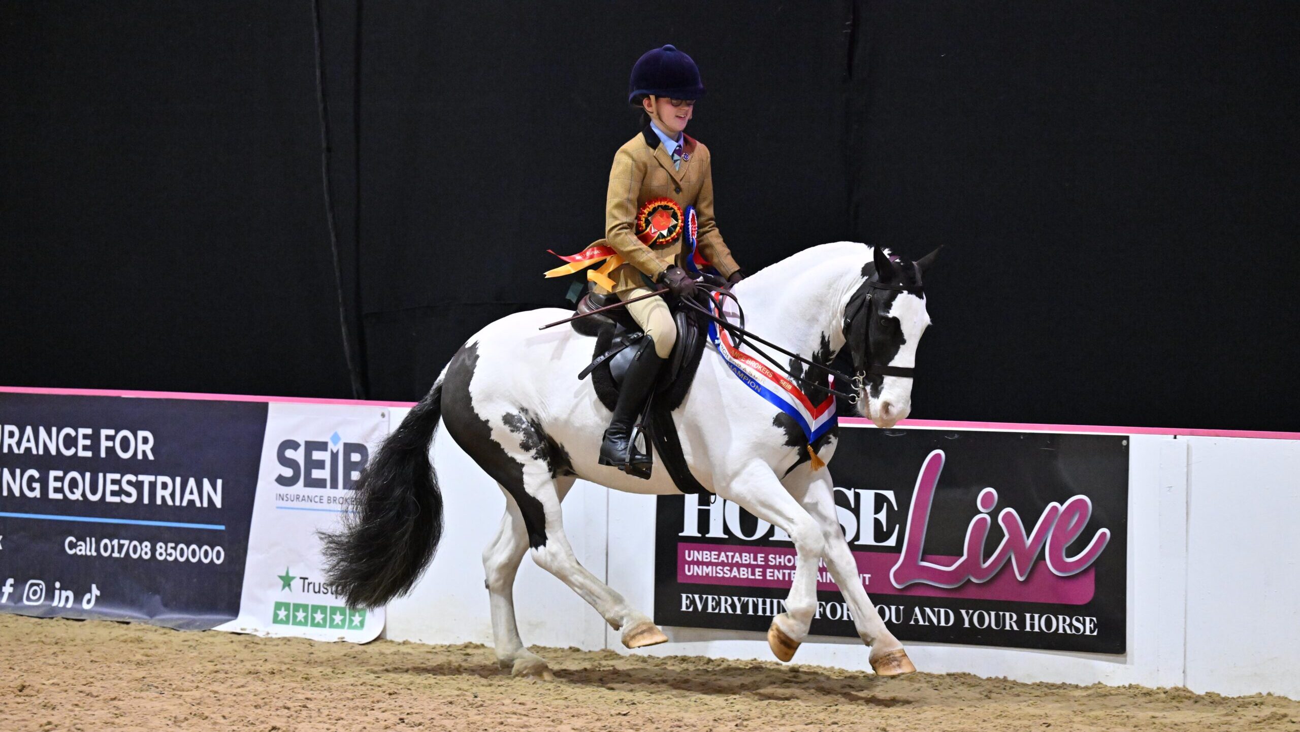 Alice Taylor riding Rising Phoenix