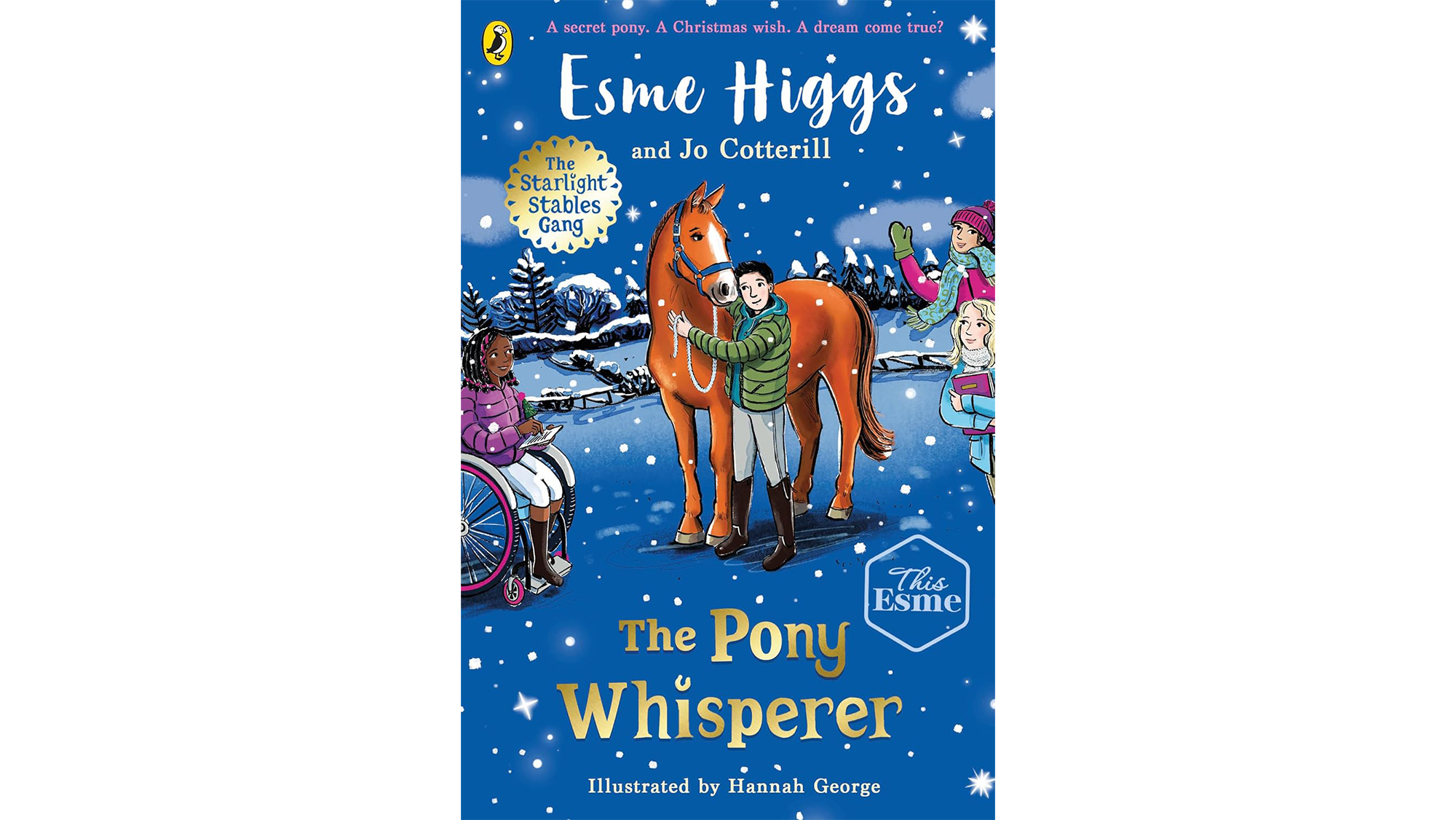 The Pony Whisperer book by Esme Higgs