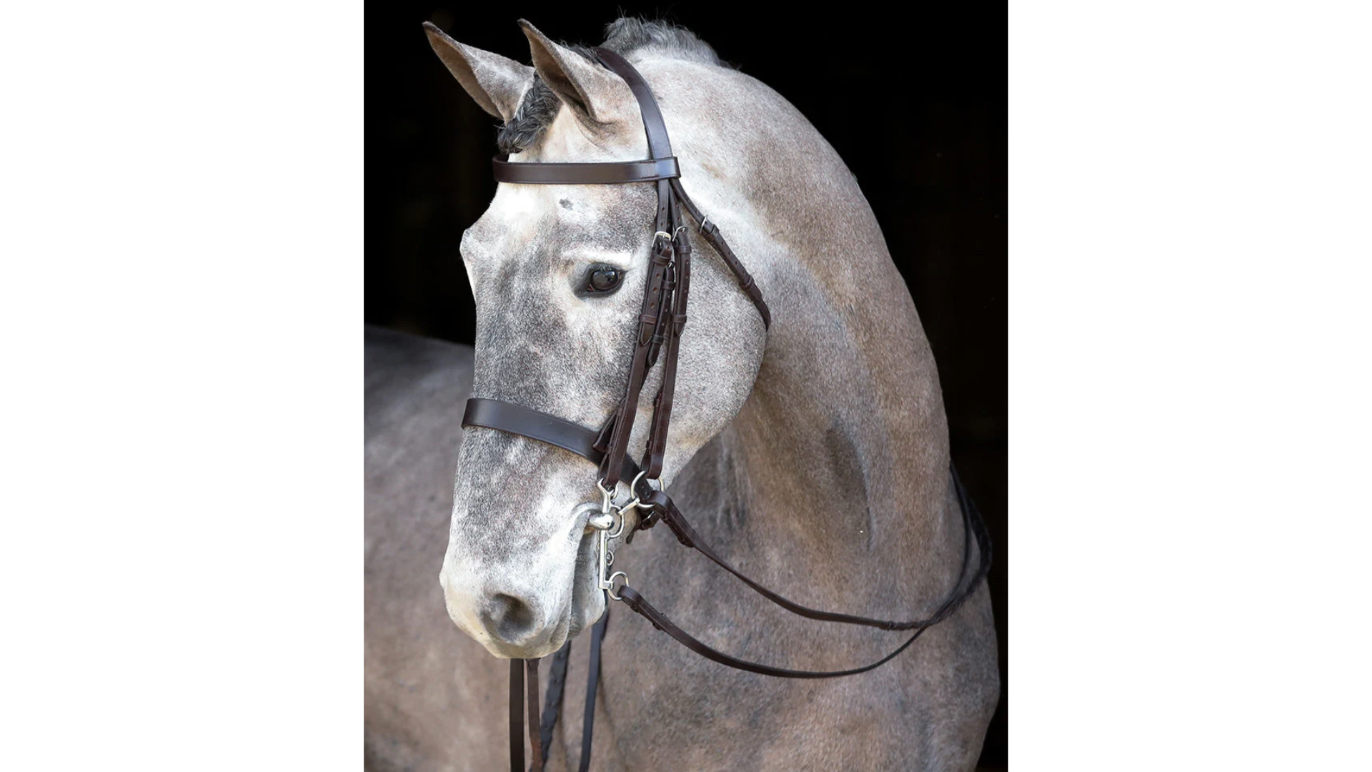 Mackey Classic Double Bridle