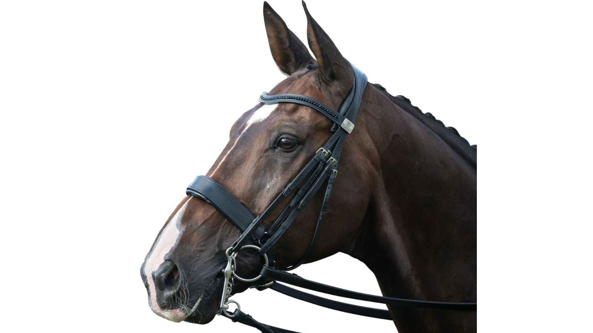 Fairfax Double Bridle