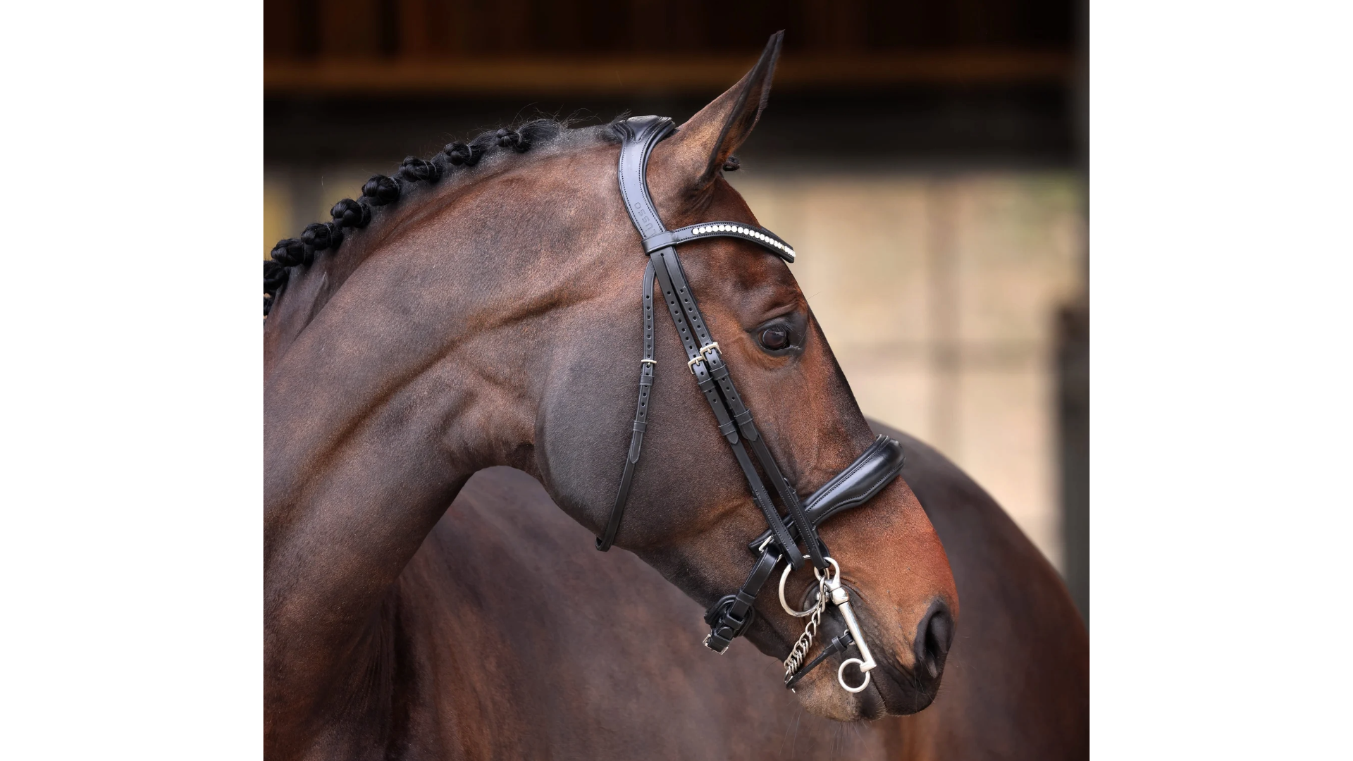 Shires Velociti Lusso Elite Double Bridle