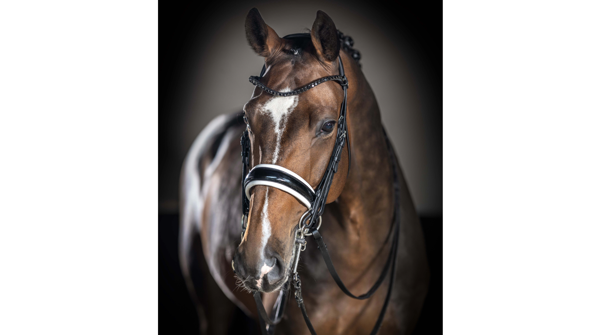 LeMieux Kudos Double Bridle