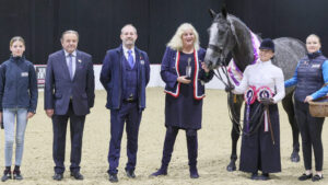 We Ride At Dawn is supreme champion having been one of 12 SEIB Search for a Star winners at Your Horse Live 2025