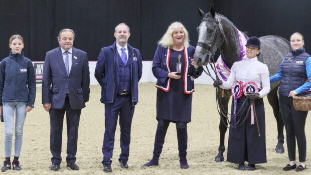 We Ride At Dawn is supreme champion having been one of 12 SEIB Search for a Star winners at Your Horse Live 2025