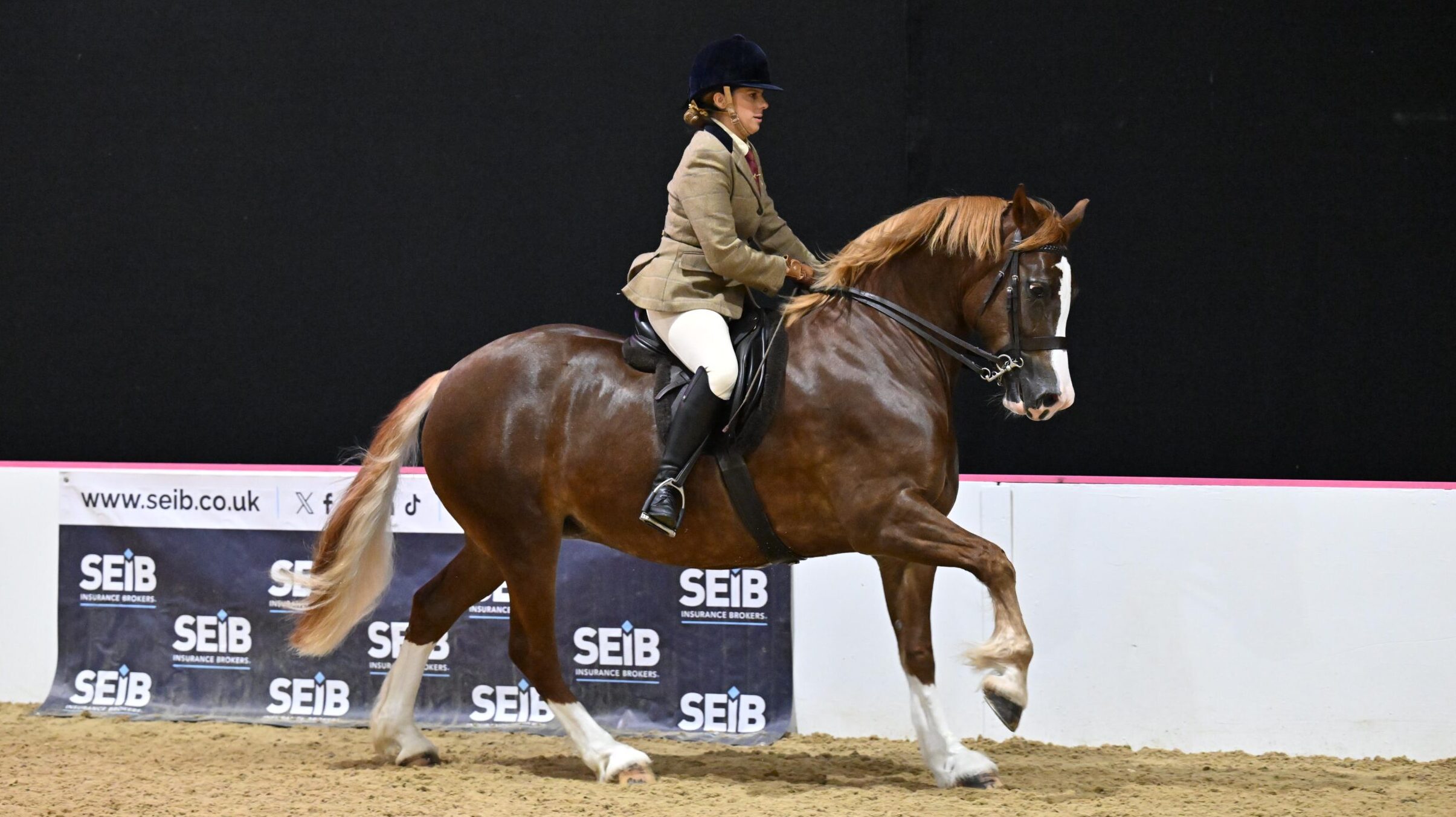 Sarah Hobbs riding Wishaw Ellie May