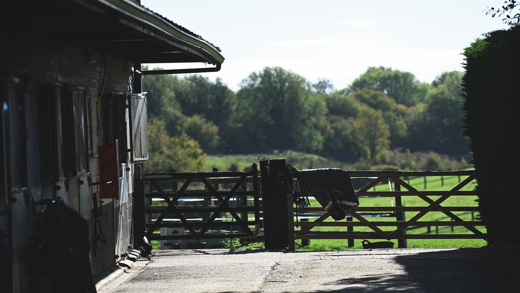 Paddocks at Joe Stockdale's yard
