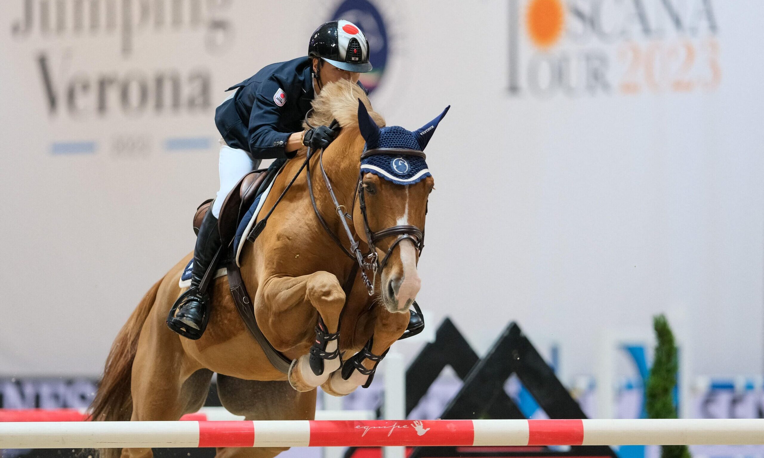 Horse's good jumping technique