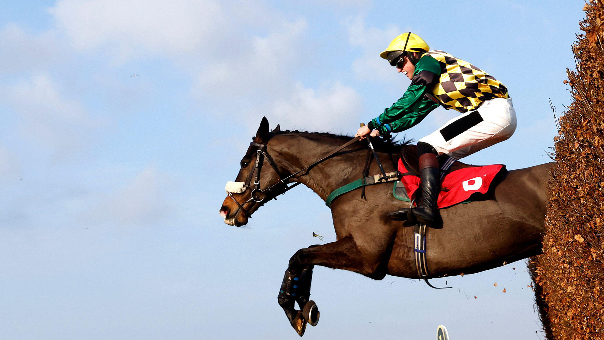 Paddy Barlow rides I See You Well on their way to winning the Betfair Exchange Amateur Jockeys' Handicap Chase at Sandown Park