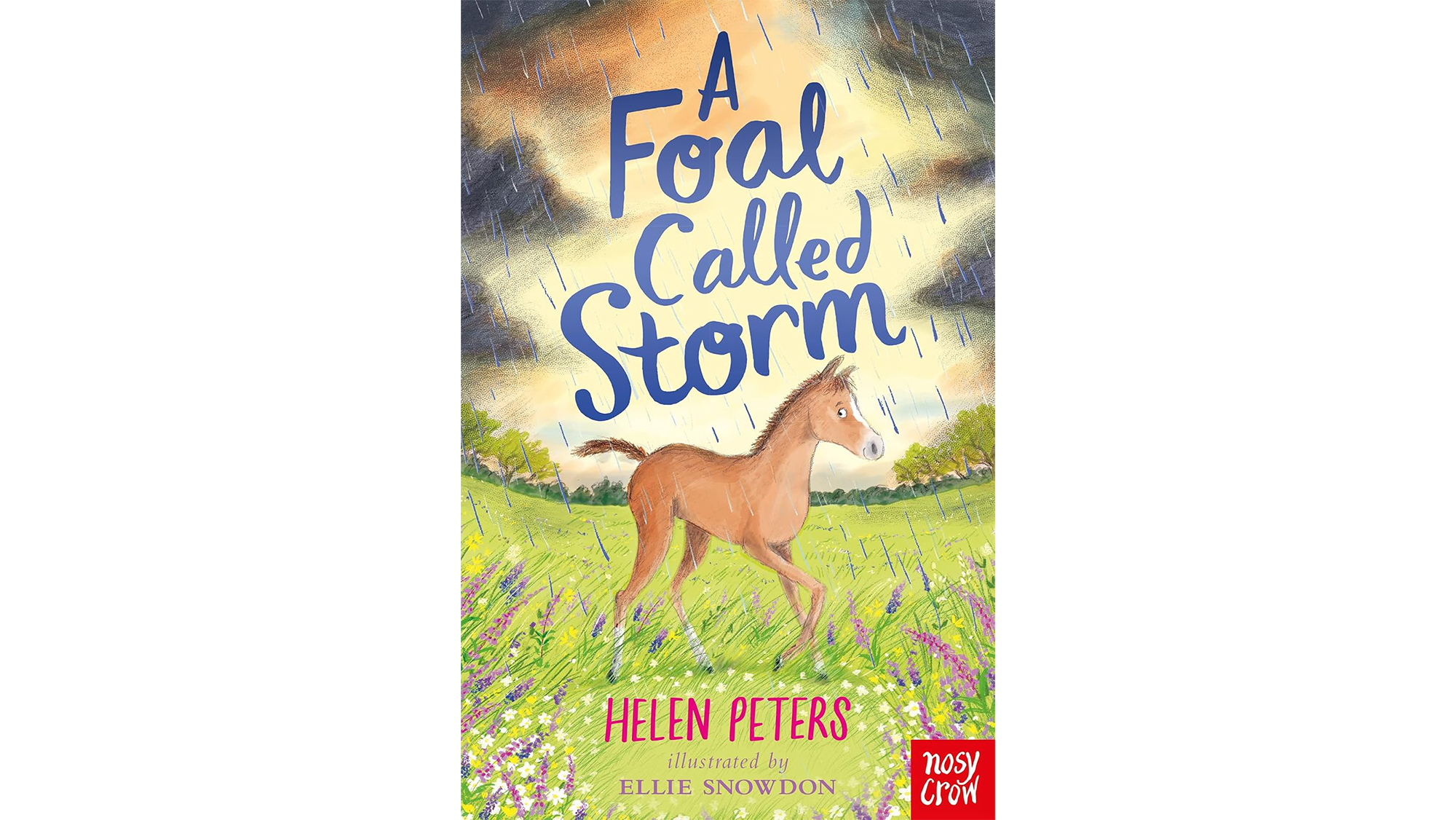 A Foal Called Storm book