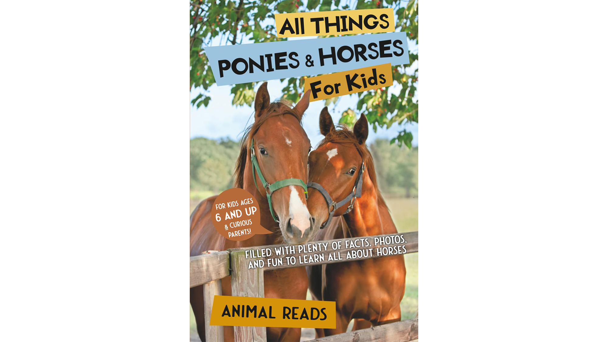 All Things Ponies & Horses For Kids book