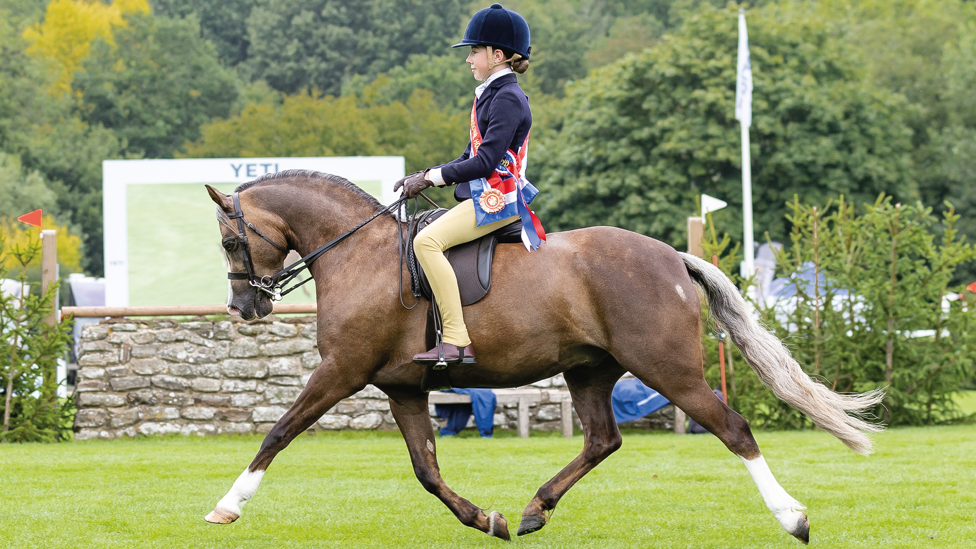 Maisie Kerry rides Cadlanvalley Royal Bronze to M&M Supreme Champion at Royal International Horse Show