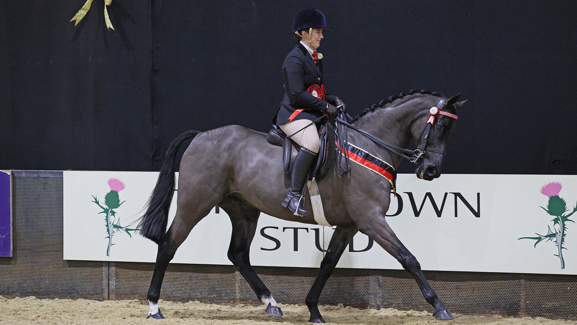 Cosford Fine Affair and Sophie Cartmell win the riding horse/ hack final