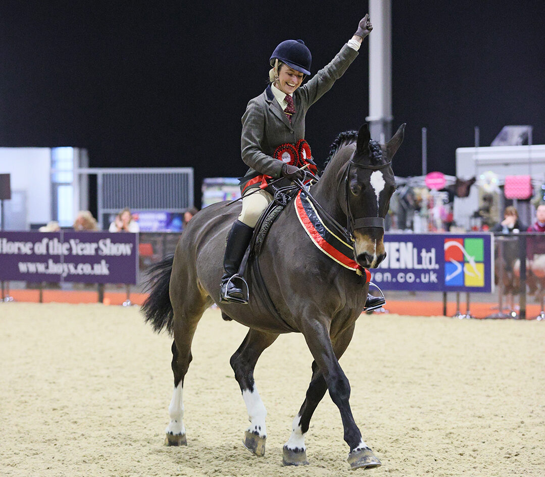 Nicola Price and her own Sir Clarence are winners of the riding club horse final.