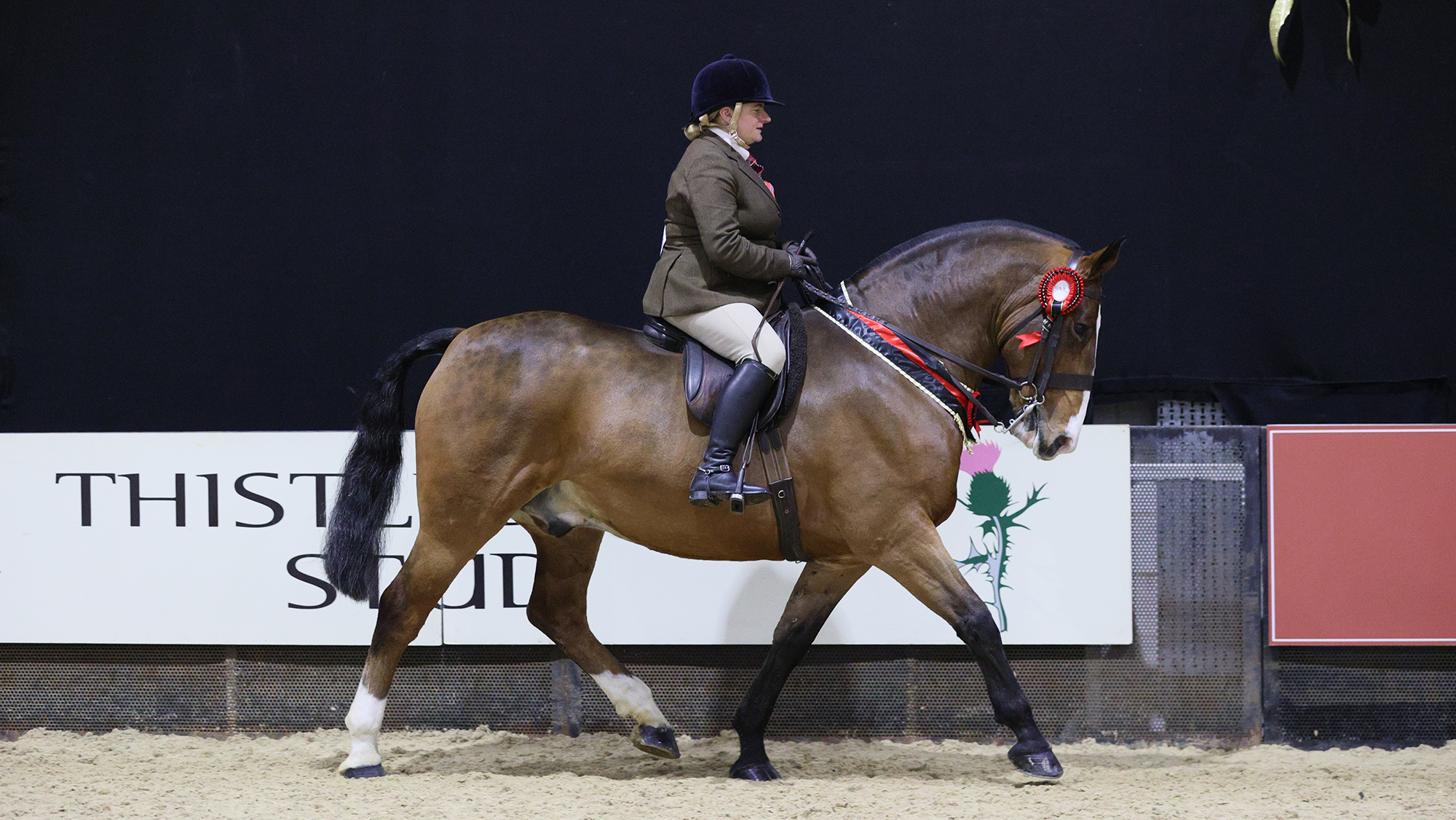 Red Himself and Sophie Brown win the cob final