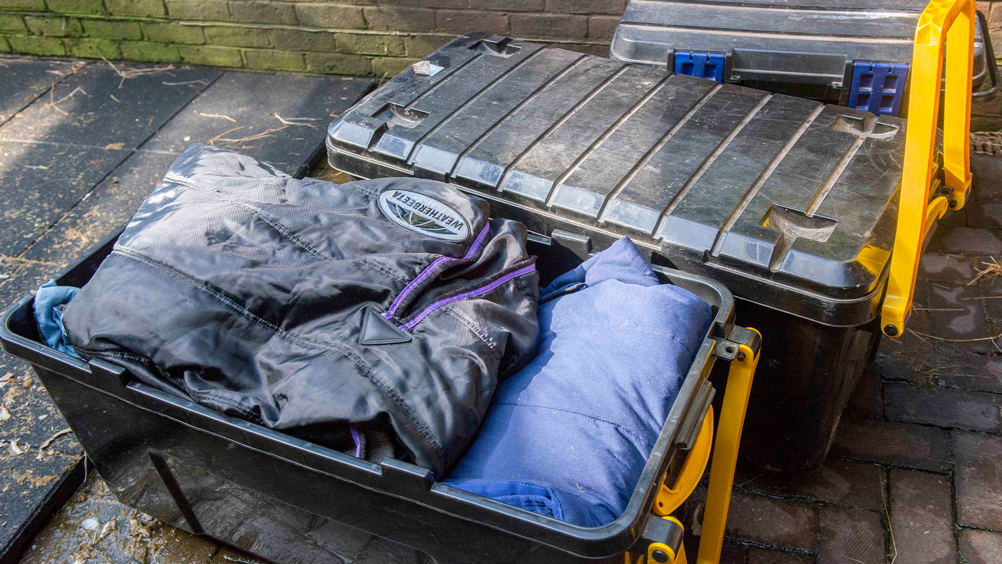 Box of equestrian kit