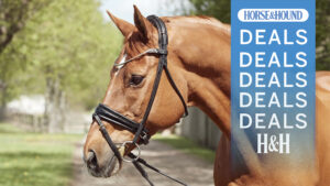 Finesse Bridles deals post