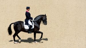 Side view of Uthopia, a black stallion ridden by Carl Hester at the London 2012 Olympic Games.