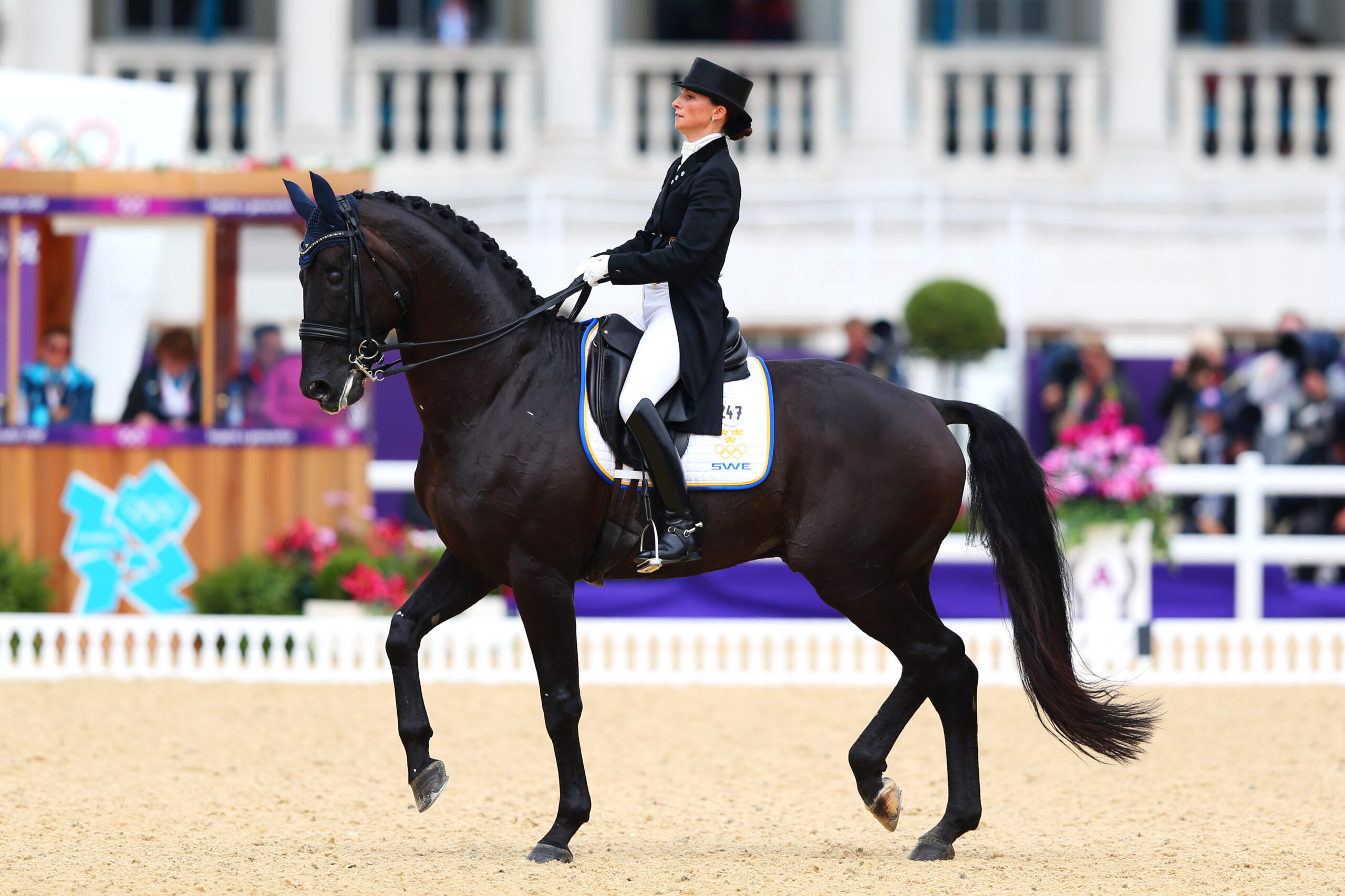 Minna Telde of Sweden riding one-eyed Santana competes in the Team Dressage Grand Prix Special at the London 2012 Olympic Games