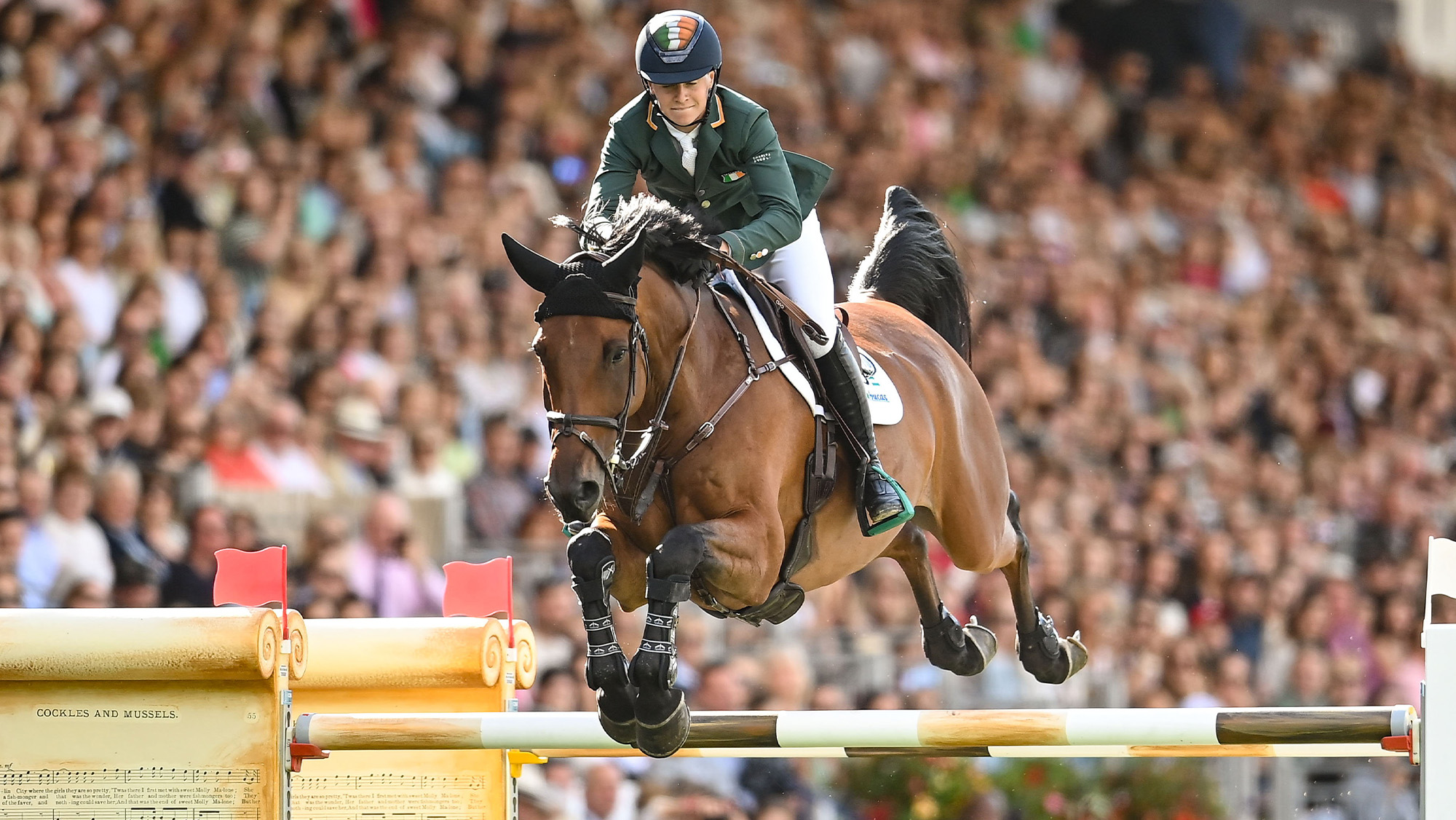 Tom Wachman rides Tobasco in the Aga Khan at Dublin Horse Show