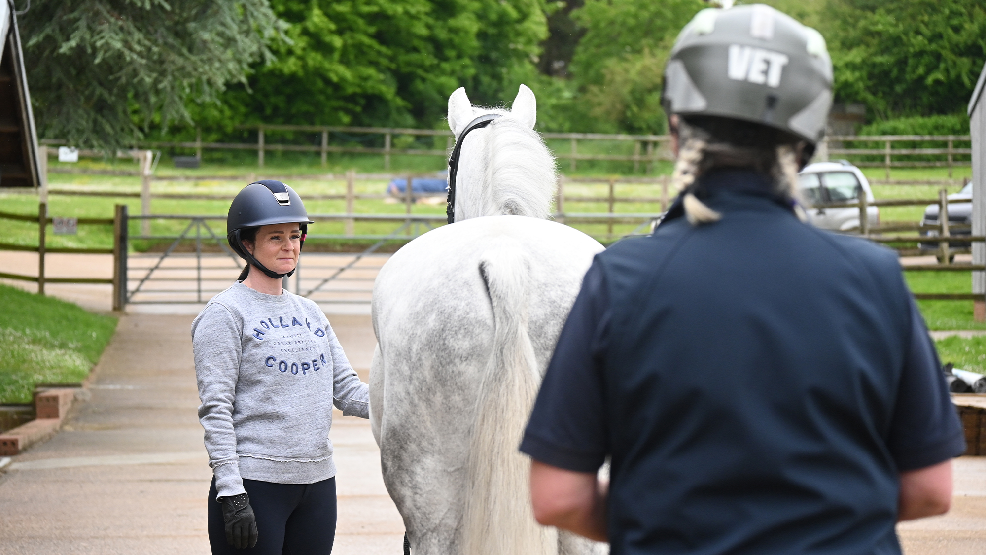 Horse owner holding horse for the vet in foreground