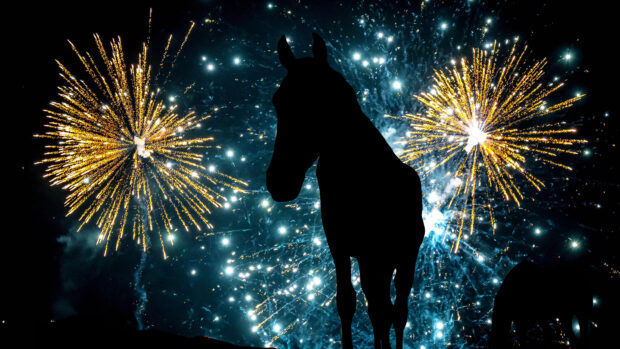 Pictured: a horse with fireworks in the background. The horse world continues to call for changes to firework legislation.