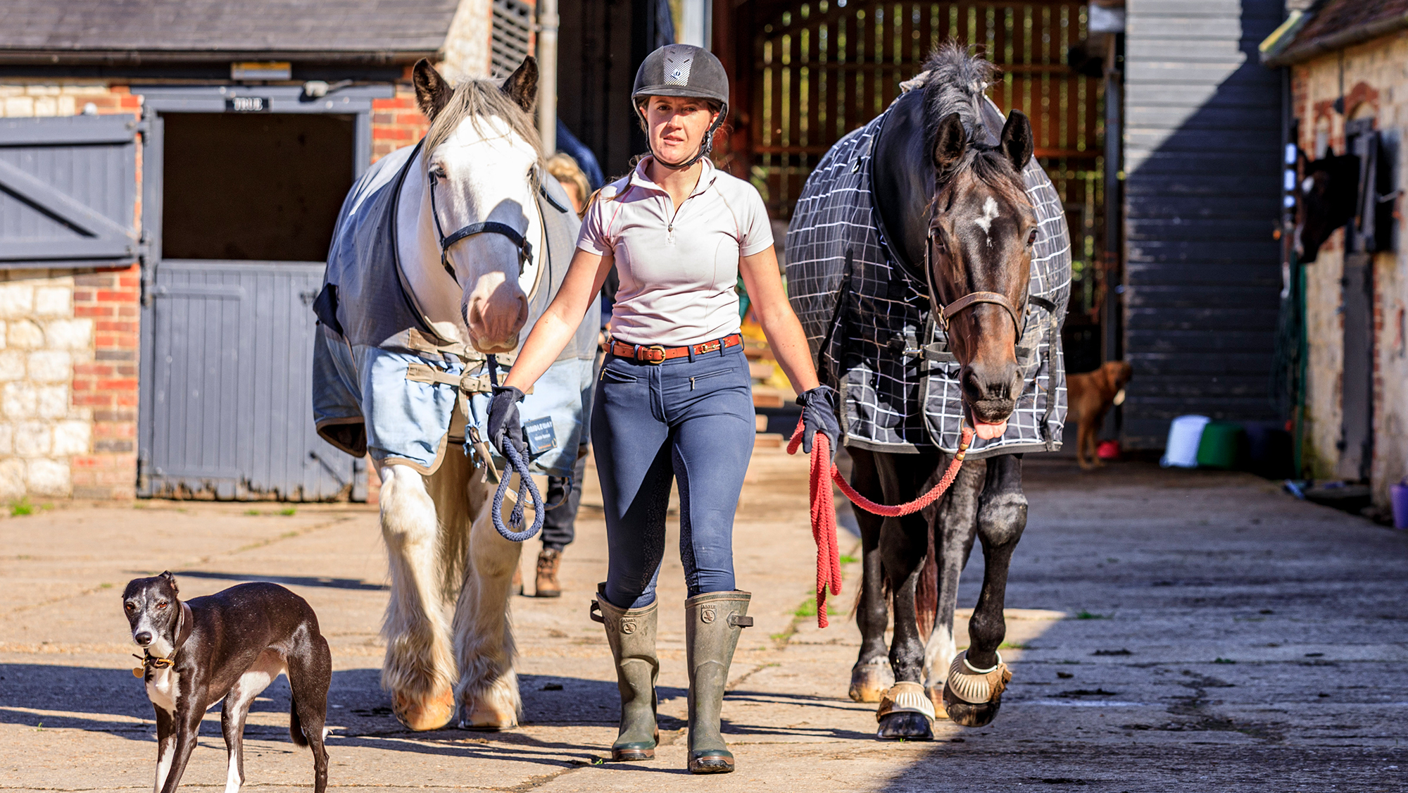 One owner leading two horses because she’s teamed up to save money on horse costs