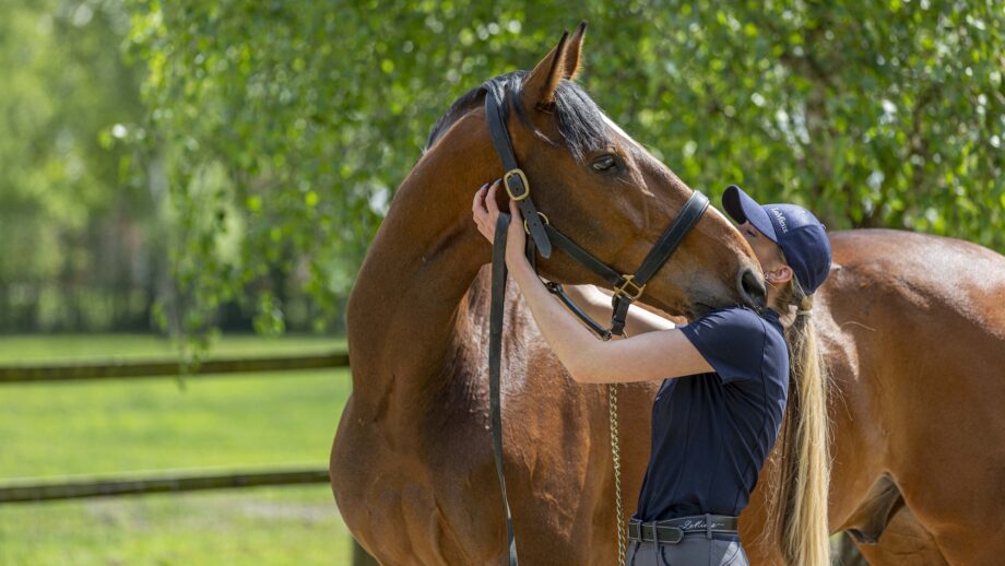 Mental health in riders: girls standing with her horse, cuddle
