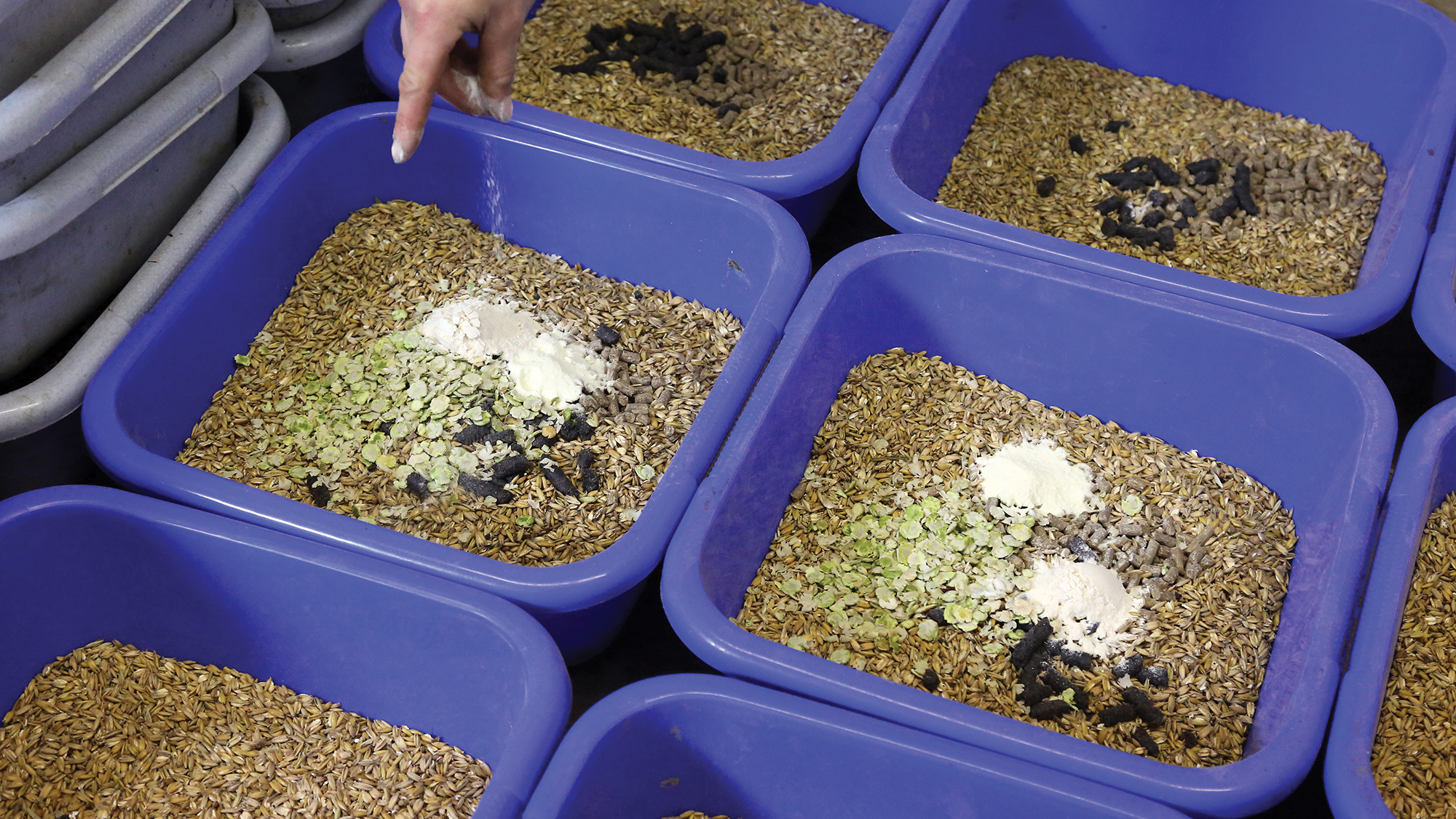 Close up of horse feeds being made with additions that could be removed to save money on horse costs