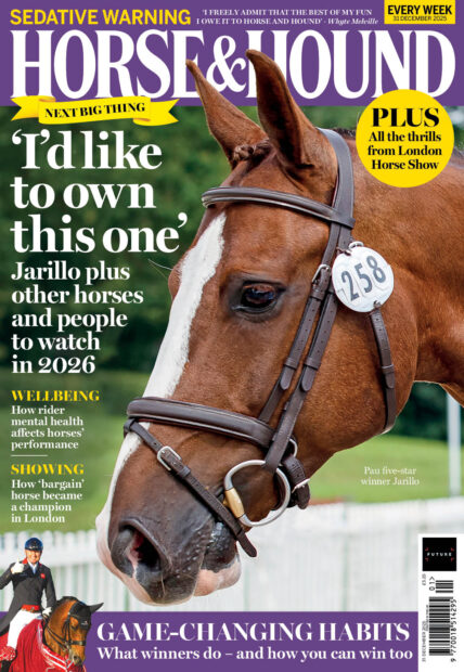 Front cover of H&H magazine, on sale 31 December 2025, featuring up and coming event horse Jarillo.
