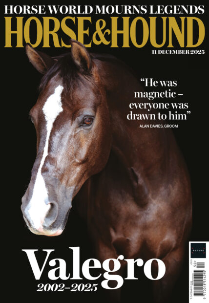 Valegro headshot against a black background on the cover of Horse & Hound magazine, on sale Thursday 11 December, 2025.