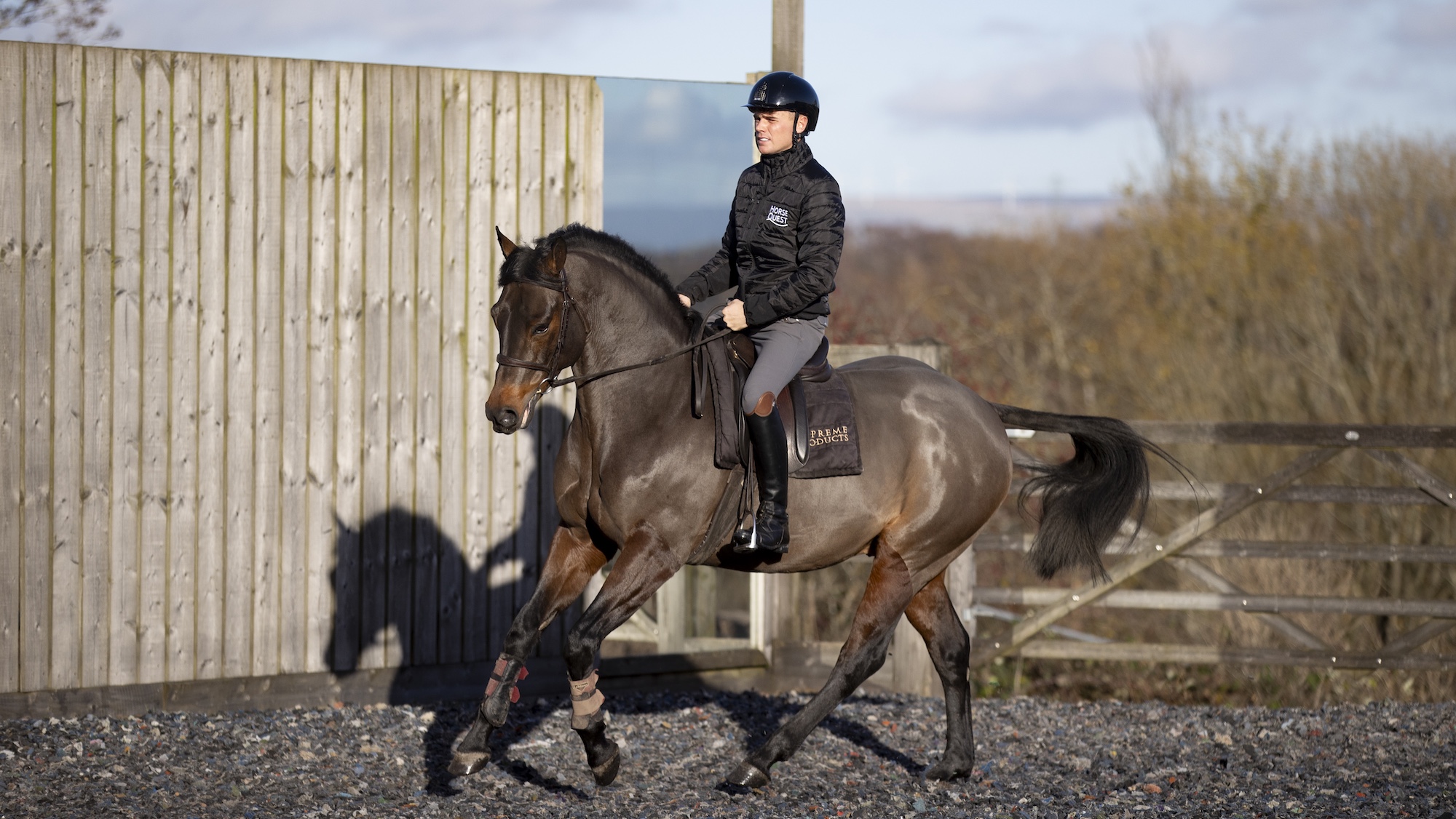 rider schooling bay horse