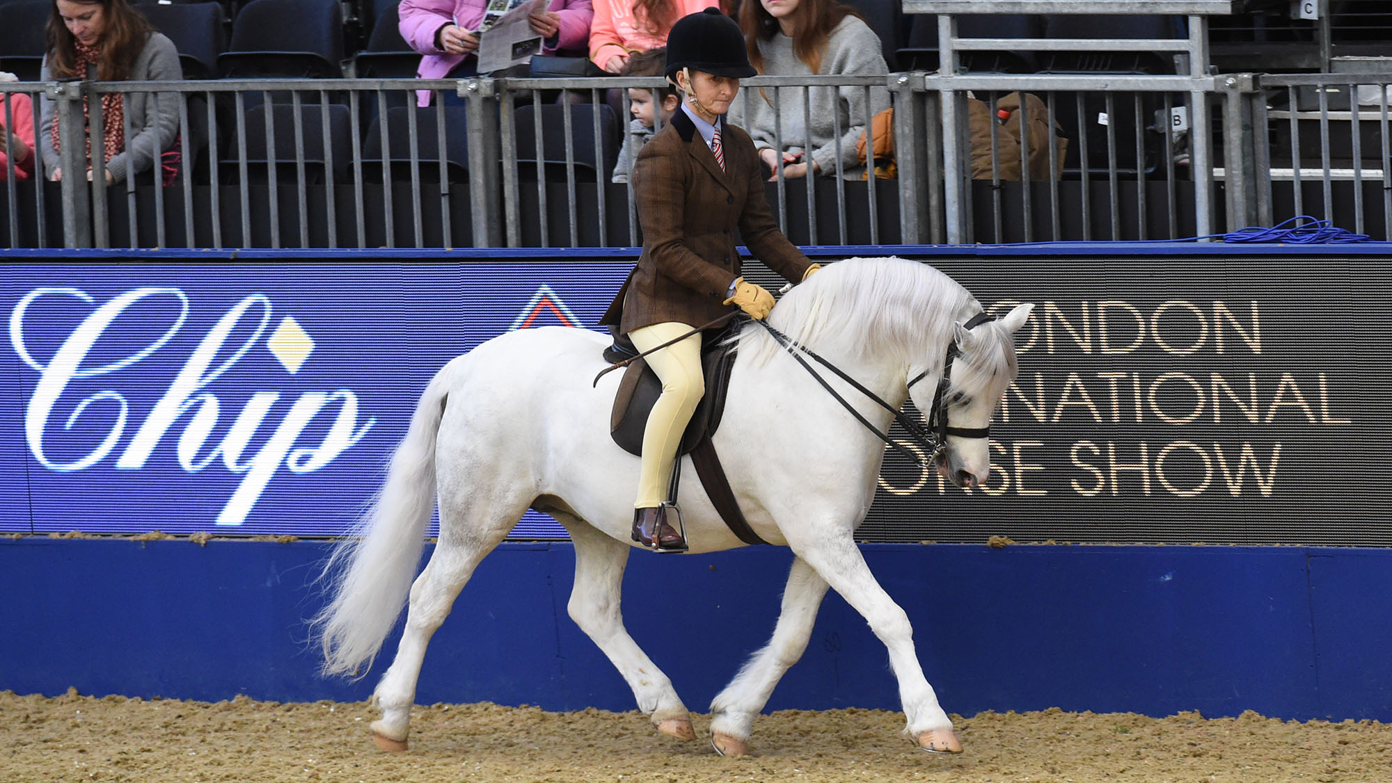 Samantha Darlington rides Broekland Allessandro at London International
