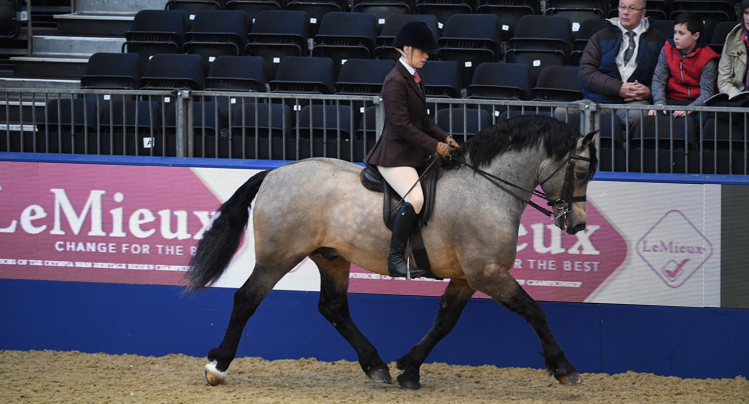 Ballynacoy Prince and Bethan Simons trot to Best of Breed and fourth place at London International Horse Show in 2017