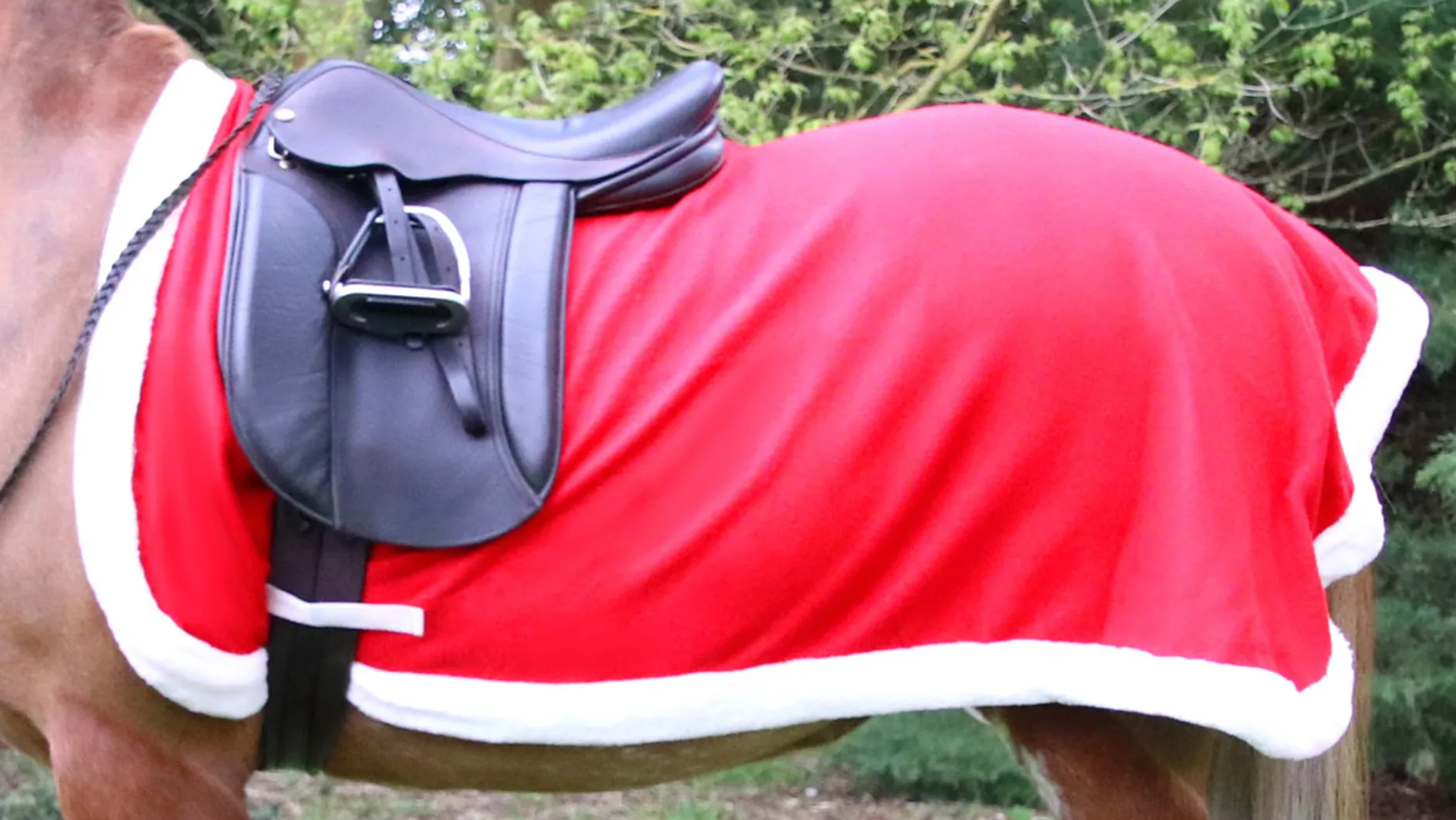 Hy Equestrian Christmas fancy dress Exercise Sheet