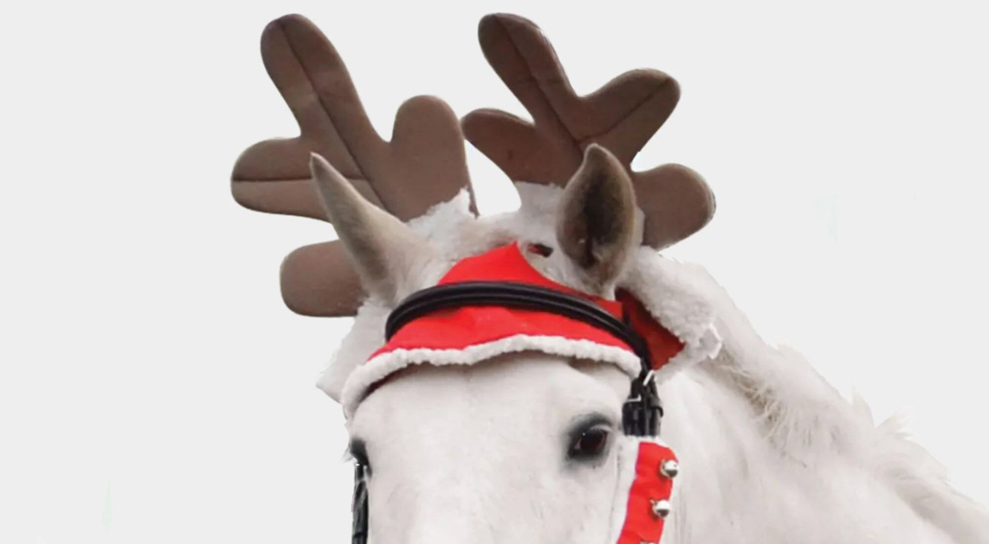 Hy Equestrian Reindeer Antlers
