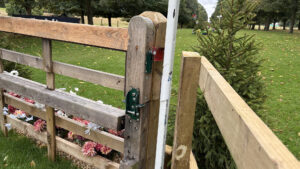 British Eventing Innovation Prize: the project seeks to find the next cross-country safety development