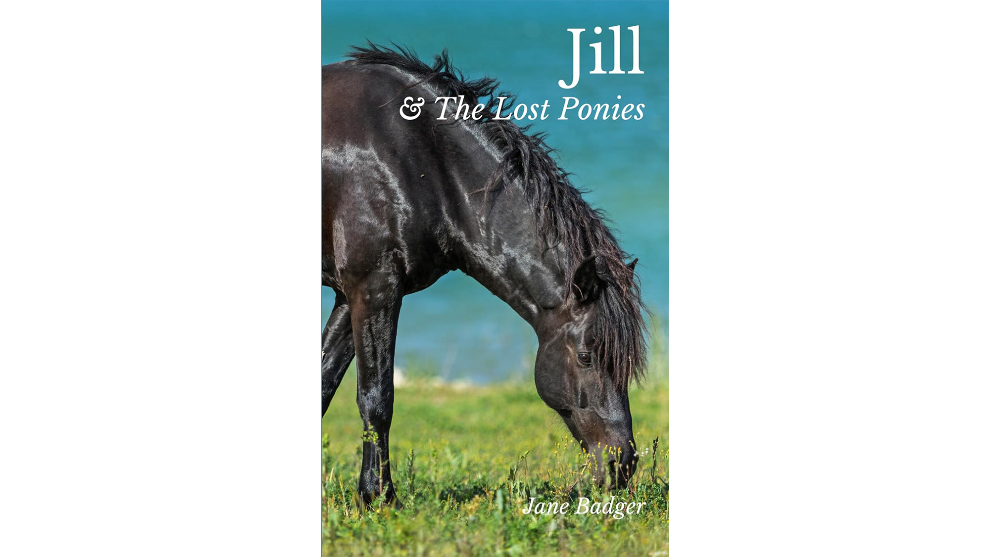 Jill & The Lost Ponies book