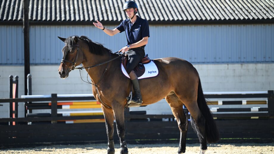 Joe Stockdale on Cacharel