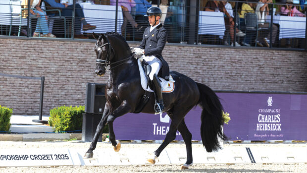 Justin Verboomen and Zonik Plus at the FEI Dressage European Championships